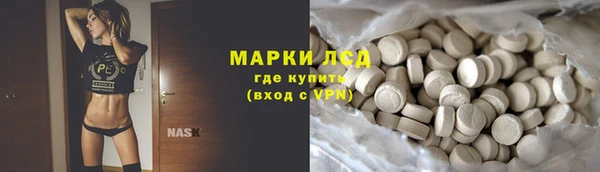 эйфоретик Алзамай