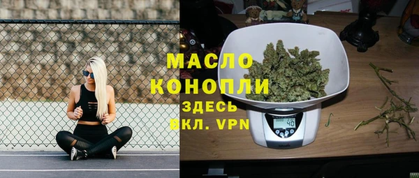 СК Алексин