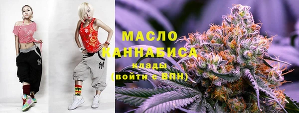 СК Алексин