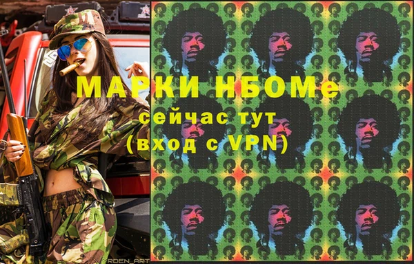 СК Алексин